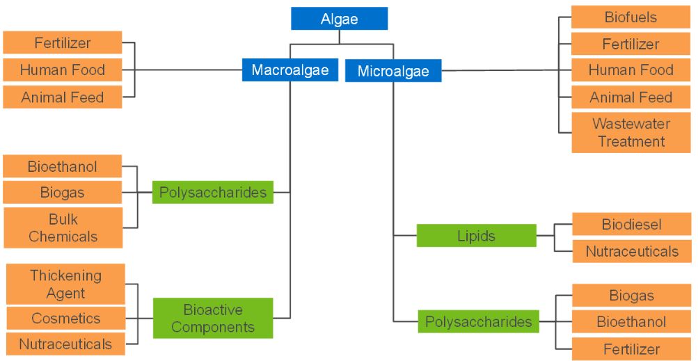 Algae End Uses