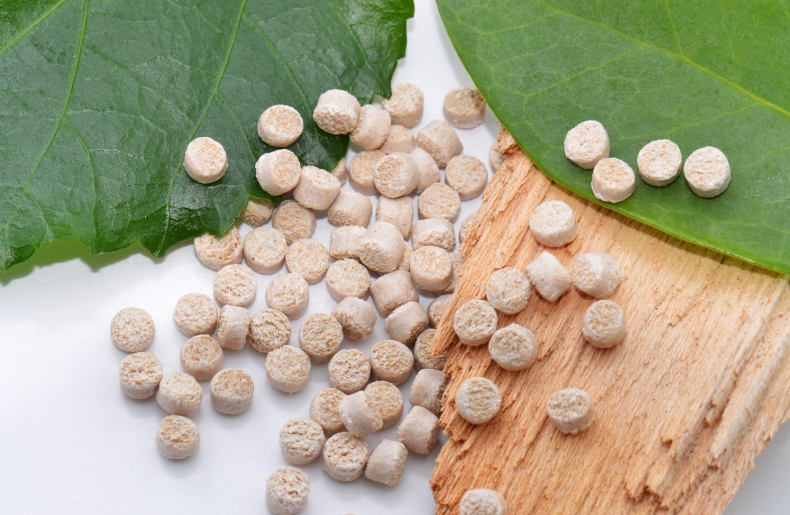 Biopolymer reports Biopolymer reports