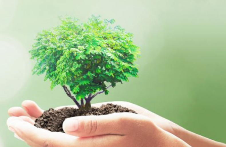 Renewable Methanol Renewable Methanol