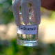 Green Methanol - NexantECA
