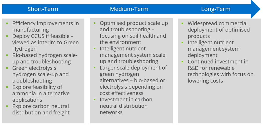 Opportunities for Green Ammonia