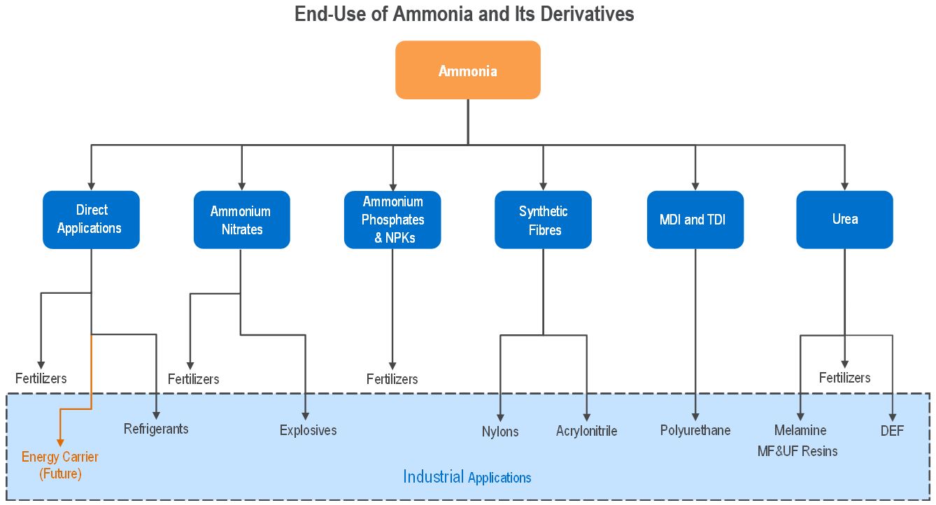 NexantECA - End-Use of Ammonia and Its Derivatives
