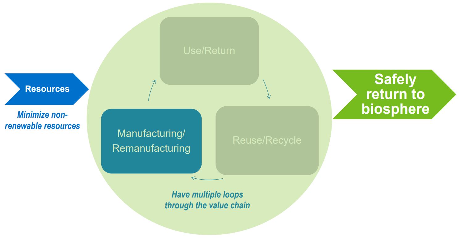 NexantECA Market Insights: Polybutylene Adipate Terephthalate (PBAT) 