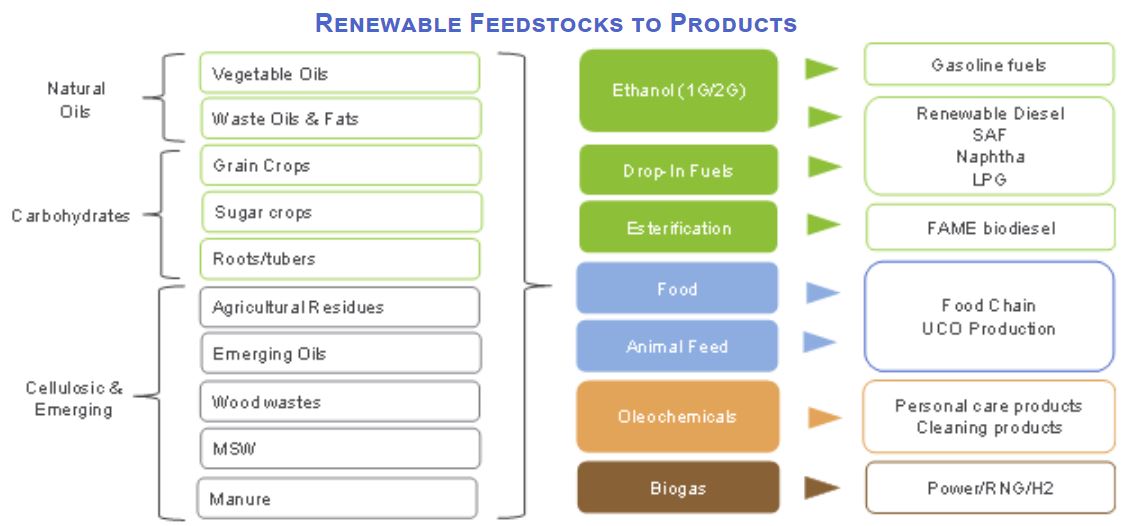 NexantECA - Renewable Feedstocks to Product